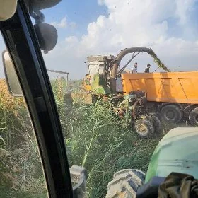 MTZ 80 2026