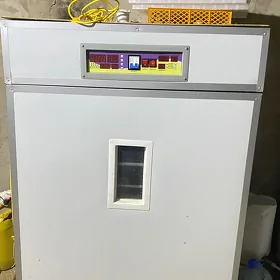 inkubator