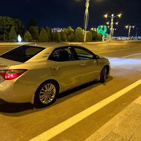 Toyota Corolla 2014