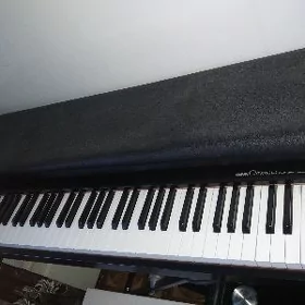 pianino elektro