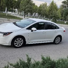 Toyota Corolla 2020