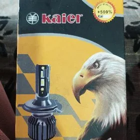 lampa