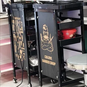 Salon üçin instrument salynyan