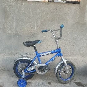 tigir 12