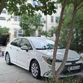 Toyota Corolla 2020