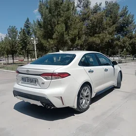 Toyota Corolla 2020
