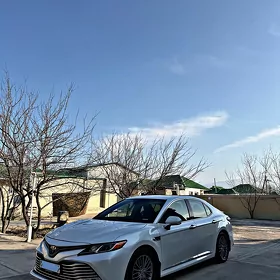 Toyota Camry 2020
