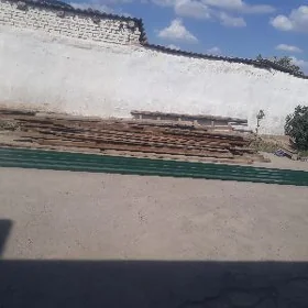 agaç tagta