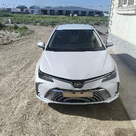 Toyota Corolla 2021