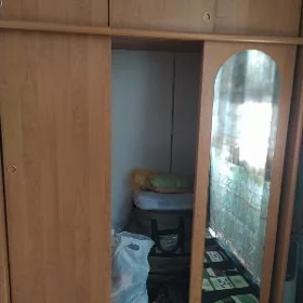Шефонер