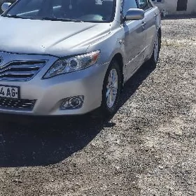 Toyota Camry 2010