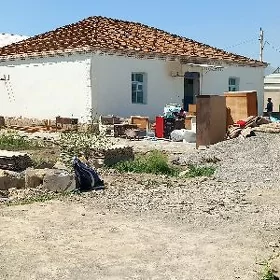 POLLYK AGAÇ ALÝAS.PURS.ŞYPYR.