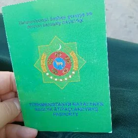 Saglyk passport