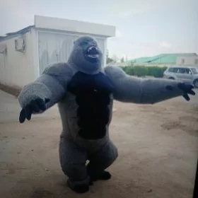 Satlyk gorilla
