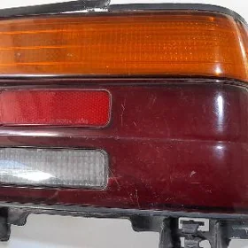 karolla stopnik sag tarap