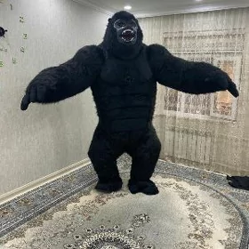 Miska