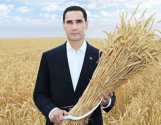 Serdar Berdimuhamedow Ahal welaýatynda galla oragynyň barşy bilen tanyşdy