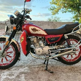 Fekon FK150-8G 2013