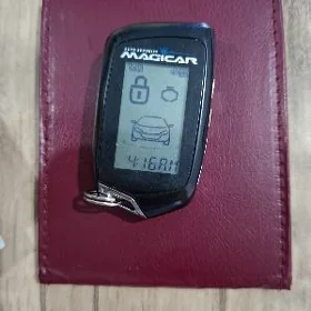 MAGICAR