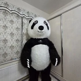 Miska panda