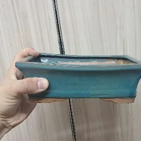 bonsay ekilyan