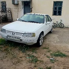 Peugeot 405 2005