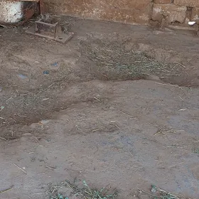işgar gerek gunlik