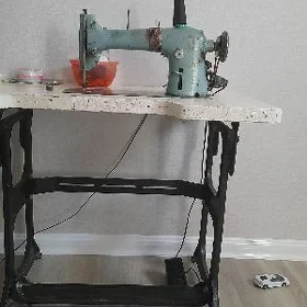 tiikiinn maşy