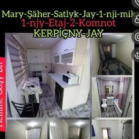 satlyk jay