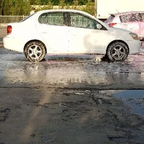Toyota Echo 2003