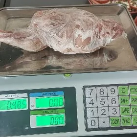 HOROZ YAŞ