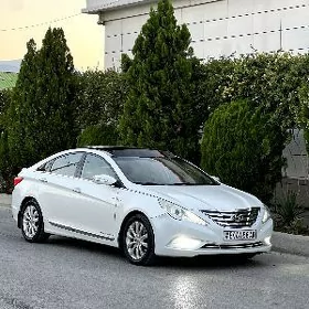 Hyundai Sonata 2010