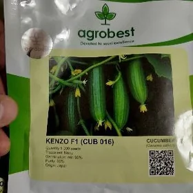 Kenzo F1