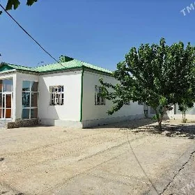 Taze zaman 1 nji tapgyr