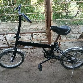 16lyk kama welik