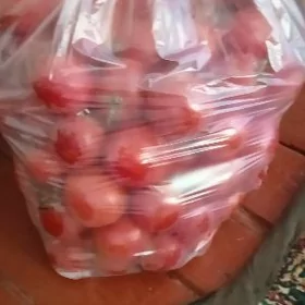 pamidor