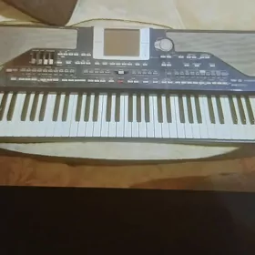 Korg pa 800 ram 256