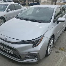 Toyota Corolla 2023