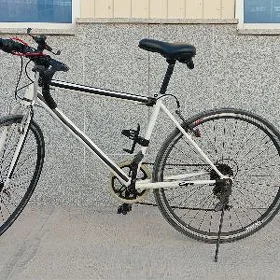 Tigir