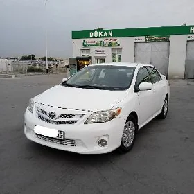 Toyota Corolla 2010