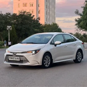 Toyota Corolla 2020
