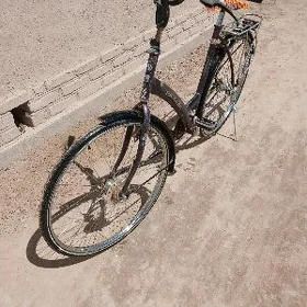 BATAVUS FUTURE