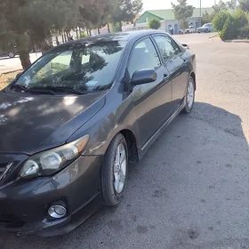 Toyota Corolla 2010