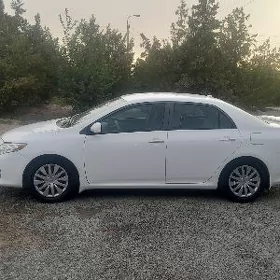 Toyota Corolla 2010