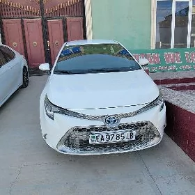 Toyota Corolla 2021
