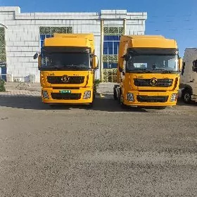DAF 480 2021