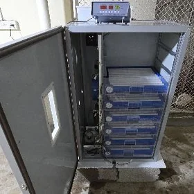  Inkubator Towuk Horaz Jüýje