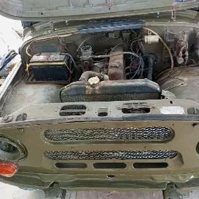 Uaz şaýlary morda