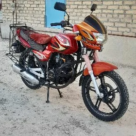 Fekon FK150-8G 2014