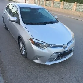 Toyota Corolla 2013